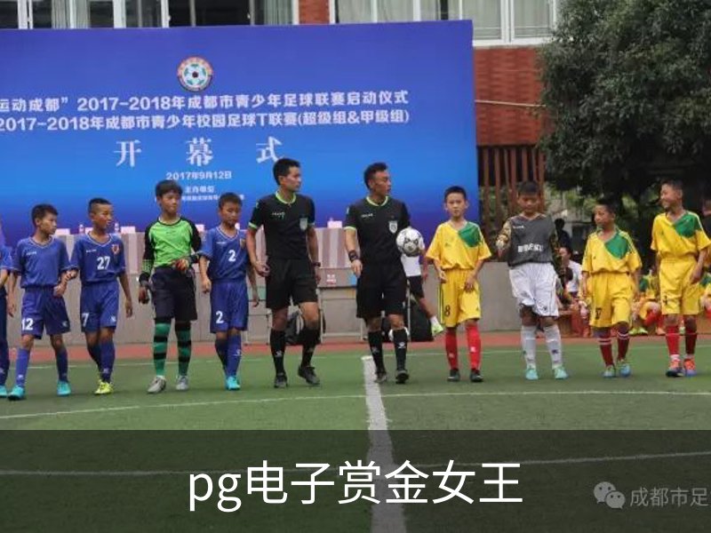 关于pg电子赏金女王